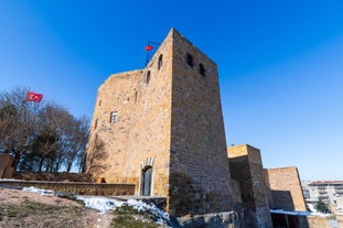 Niğde Castle