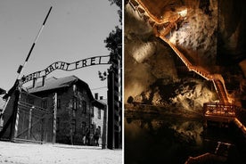 Eendaagse tour: Auschwitz Birkenau + Wieliczka-zoutmijn