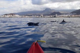  Experiência de golfinhos e tartarugas em caiaque em Tenerife