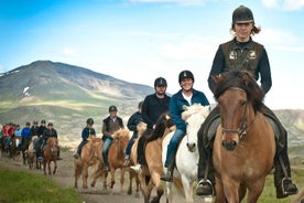 Passeio a cavalo islandês incluindo embarque em Reykjavik