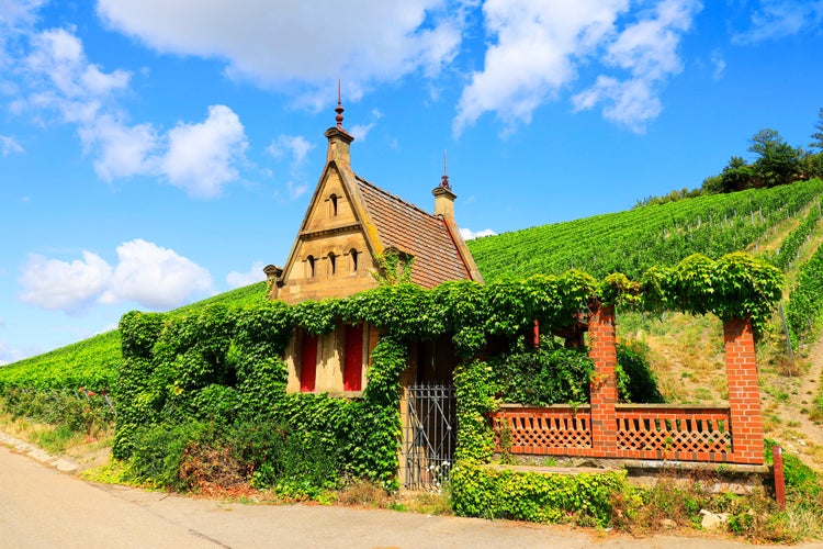 Photo of Beautiful Building in a Vineyard at the Wartberg, Heilbronn in Germany, Europe .