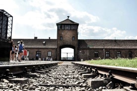 Krakow: Auschwitz-Birkenau leiðsöguferð með skutlþjónustu/val um hádegismat