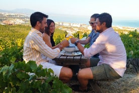 Manilva Oceanfront Wine Experience i Marbella-området