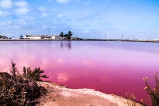 Salinas y Arenales de San Pedro del Pinatar