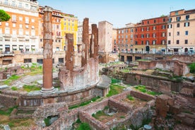 Aerial panoramic cityscape of Rome, Italy, Europe. Roma is the capital of Italy. Cityscape of Rome in summer. Rome roofs view with ancient architecture in Italy. 