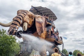 Tour di mezza giornata a Nantes