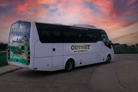 Utflukt på land: Giants Causeway og Titanic Center fra Belfast Port