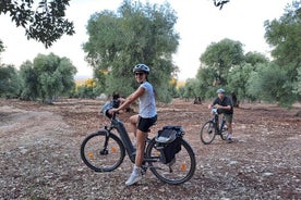 E-bike Tour in Ostuni, de eeuwenoude olijfbomen en het rotsdorp