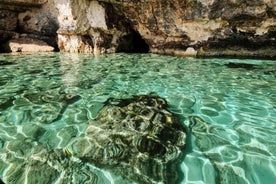 MALTA Comino BlueLagoon 3 hours Private Boat trips