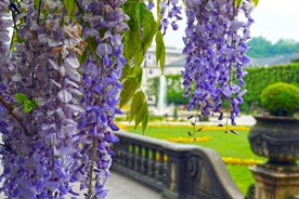 Privat rundtur i det bästa av Salzburg - Sightseeing, mat och kultur med en lokal