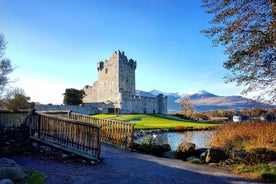 Killarney: Jaunting Car & Lake Cruise Tour