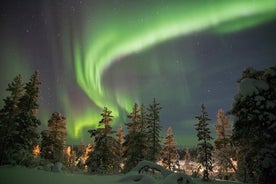 Aurora Borealis Tour Kiruna - Abisko paikallisella katuruokalla