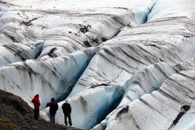 Private Wonders of the South Coast with Glacier Hike