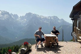 Desde la zona de Verona: excursión privada de un día a los Dolomitas