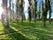 The Green Cathedral, Marinus Boezem 1987, Almere, Flevoland, Netherlands