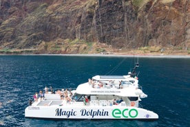 From Funchal: Ecological Catamaran Dolphin Whale Watching