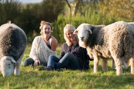 Scotland: Tea Retreat with Naughty Sheep