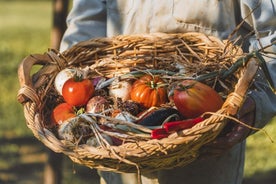 Cours de cuisine spécial en Toscane : cours de cuisine végétalienne à Valdichiana Senese