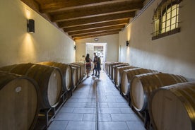 Barolo-viinikierros