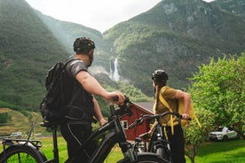 Flåm Valley Electric Bike Discover Tour