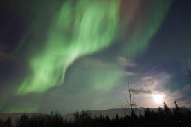 Akureyri에서 출발하는 오로라 4x4 투어