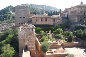 Private Shore Excursion to The Alhambra and Granada from Motril Cruise Port