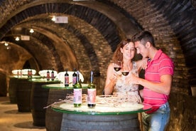 Due visite alle cantine della Rioja e tour a piedi della Guardia