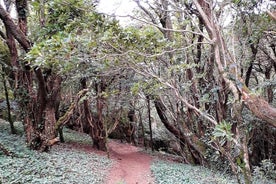 シントラ・カスカイス自然公園でのハイキング