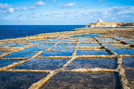 Île de Gozo : excursion privée d'une journée