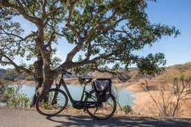 Excursão de bicicleta elétrica para grupos pequenos de meio dia pela zona rural do Algarve com almoço