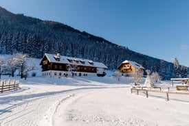 Ferienparadies Wiesenbauer