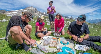 Tour du Mont Blanc