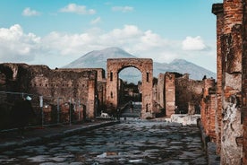 Ingresso sem fila para Pompeia e guia de áudio