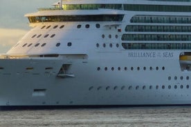 Trasferimento privato Explorer of the Seas dal porto crocieristico di Ravenna all'aeroporto di Venezia