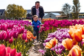 Visite guidée des jardins de Keukenhof et découverte de la Tulip Experience au départ d'Amsterdam