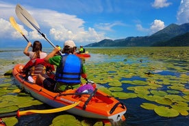 Kajakferð um Skadar vatnið - Virpazar til Grmozur-eyju og Lesendro-virki