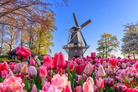 Keukenhof og Zaanse Schans vindmøller dagstur fra Amsterdam