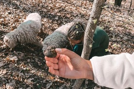 Caccia al tartufo di Motovun di un'intera giornata con pranzo e degustazione di liquori