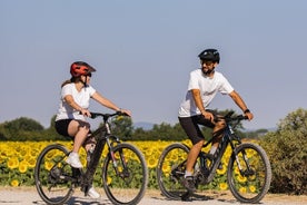 カスティリオン フィオレンティーノ - トスカーナの田園地帯での eBike ツアー