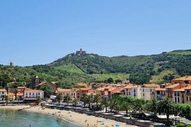 Privat tur i vingårdene i Collioure med vinsmaking