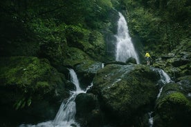 Excursão de caminhada em grupo no Parque Nacional Mtirala