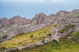 해변 질주 – 숙련된 라이더를 위한 승마 사파리