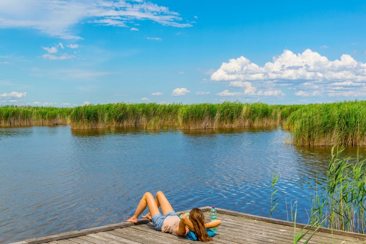 a young lady is sunbathing on a wooden pier surronded by reed on neusiedlersee in Austria.