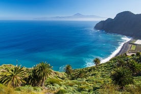 Tour in autobus di un'intera giornata all'isola di La Gomera con guida professionale - Pranzo incluso