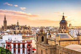 Privatdagstur till Sevilla från Cadiz med hotellupphämtning