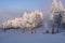 Ski slope, Osiedle Zielonka, Przemyśl, Subcarpathian Voivodeship, Poland