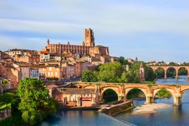 Photo of the Canal and Castle of Perpignan in springtime, Pyrenees-Orientales, France.