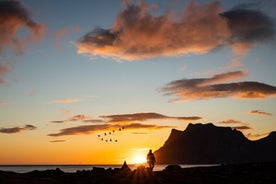 Tour durch die authentischen Fjorde von Kvaloya nach Sommaroy