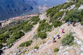 Delphi: Ancient Footpath Delphi Hiking