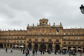 Private Tour Salamanca Essential in 2 hours